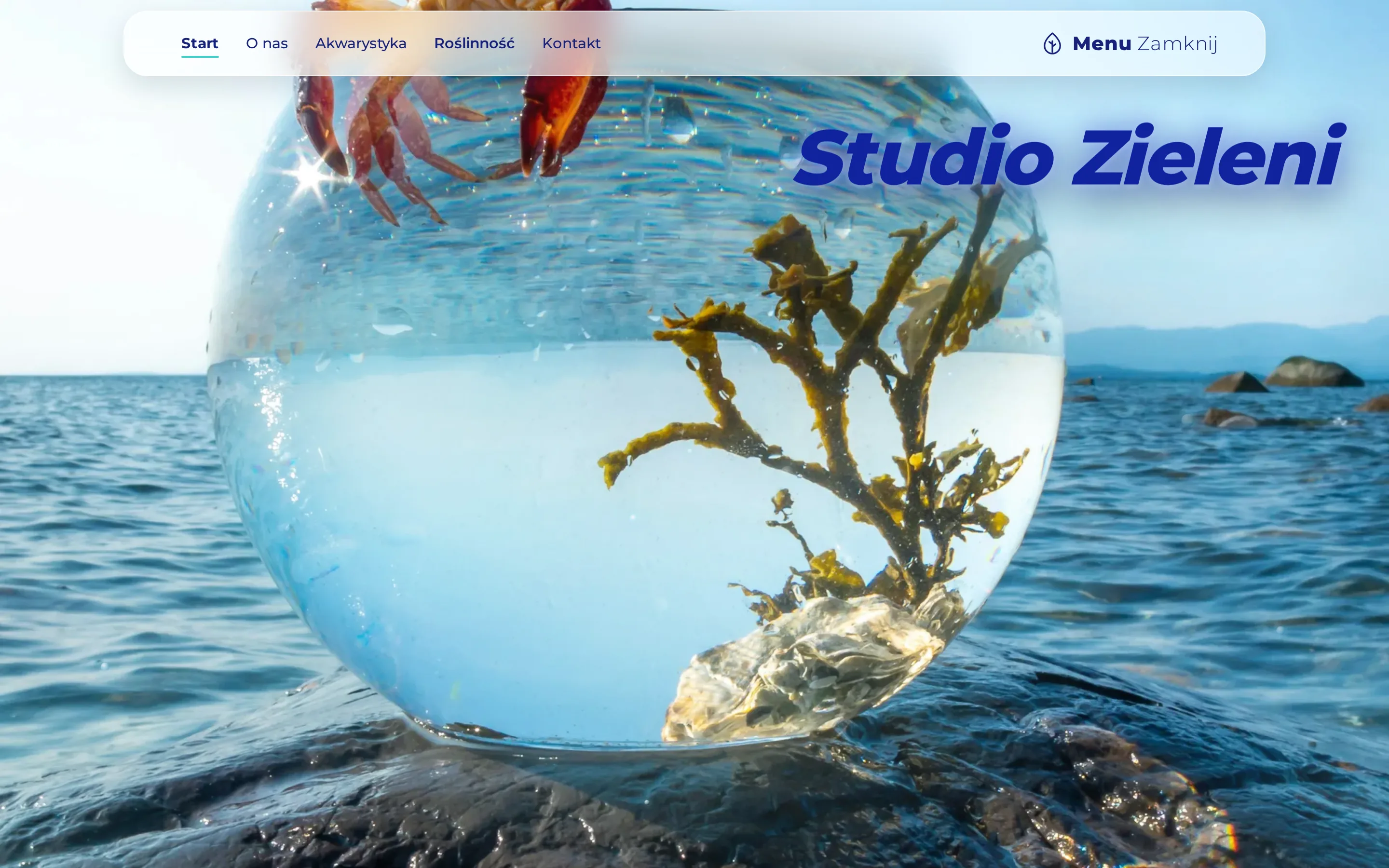 Zrzut ekranu strony Studio Zieleni