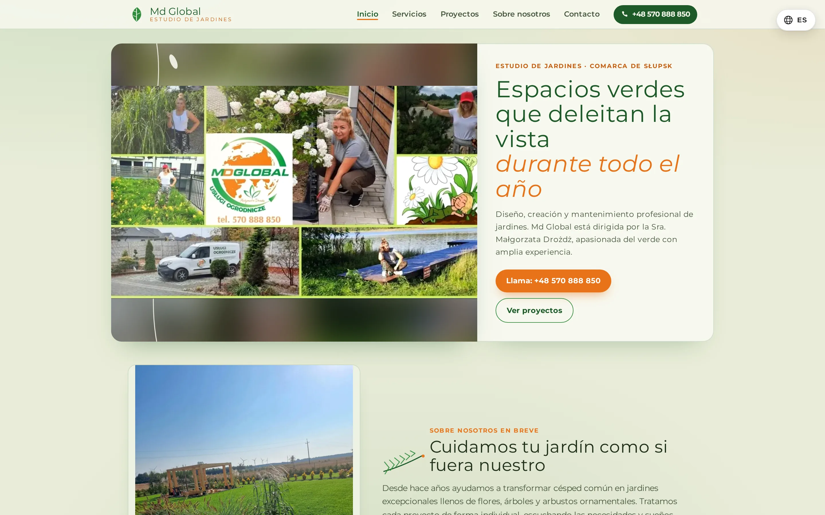 Captura de pantalla de la web Md Global
